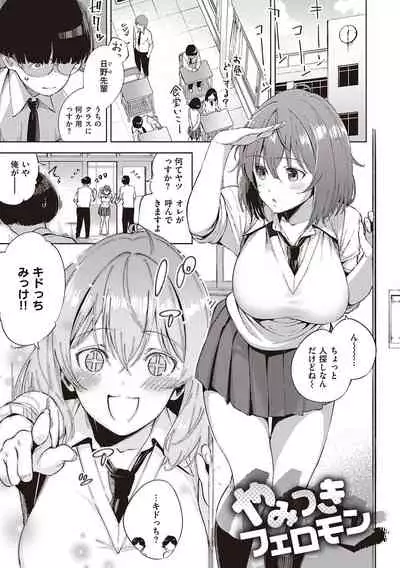 YaMiTsuKi Pheromone