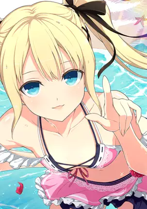 Master Ninja Senran Kagura NEW LINK - Crossover