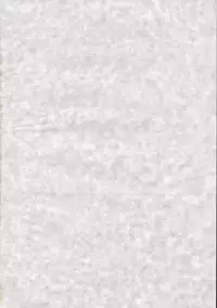 (C75) [Burning Soul (Sakayaki)] Touhou Shunga Hon - Hyousei Sounan (Touhou Project)