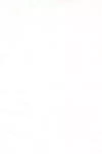 (C59) [Hikagemono (Hikage Tetsuo)] Tamanegibatake 1+2+