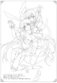 (C72) [PLUM (Kanna)] Hakuin Reijou Gengabon