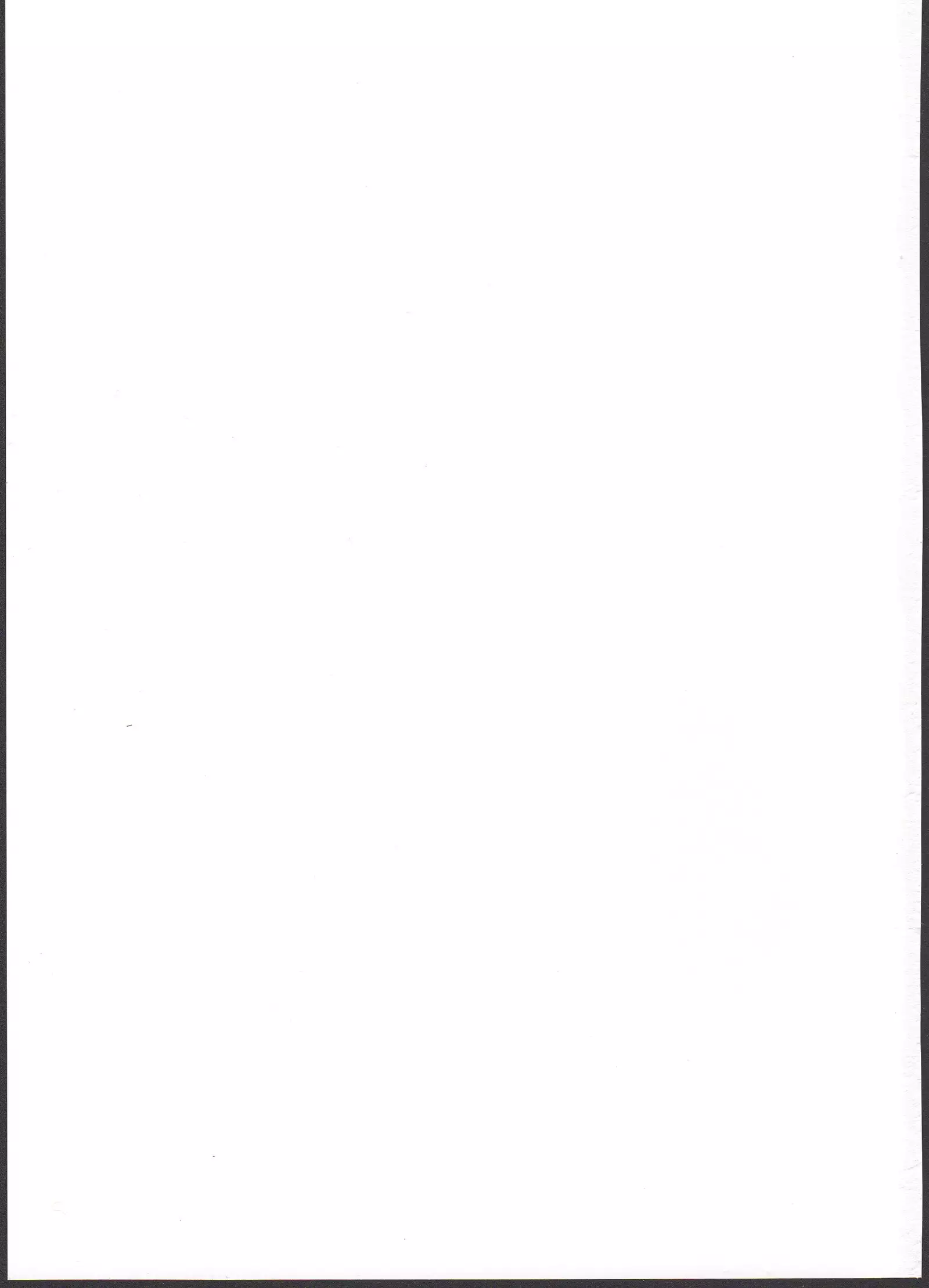 Popuni Kei Joshi Panic! 4 포푸니계 여자 패닉! 4