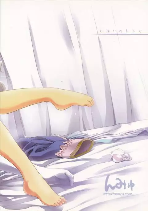 となりのトトリ