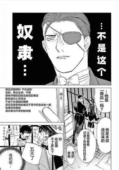 TOKYO Hikari Auction｜东京光之拍卖会