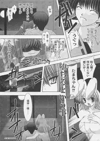 [ShikigamiAzuma]God Chome cat