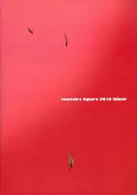 (C91) [Fountain's Square (Hagiya Masakage)] CHAOS PANIC (Bakemonogatari) [Chinese] [final個人漢化]