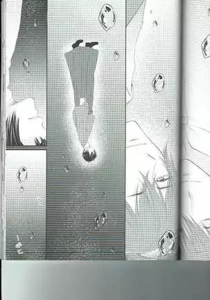 Petals Falling on Rippling Waters