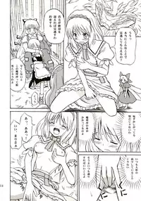 (C67) [Takaku-ya (Takaku Toshihiko)] Touhou Youjo Ranbu (Touhou Project)