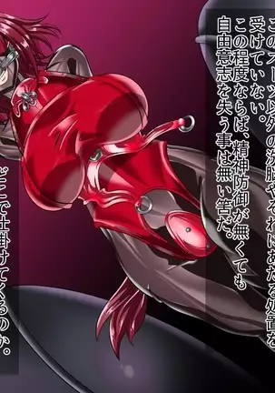 ドミギュラス・レポート