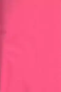 (C91) [chori (Mokki)] Watashi datte Shitaikoto (Pokémon)