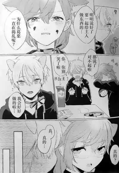 Neko no Iru Seikatsu | 有猫的生活