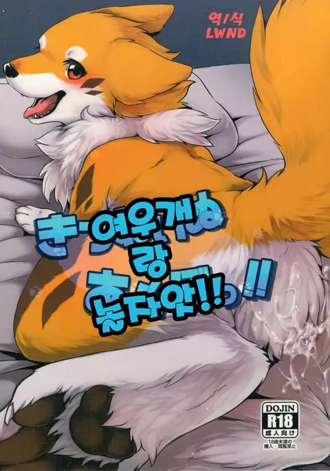 Kitsuneinu to Asobo!! | 여우개 랑 놀자앗!!