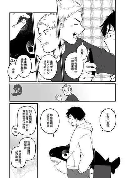 Zipper Shark Joey | 拉鍊鯊魚喬伊