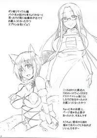 (C91) [Shirakaba Doori (DRY)] R11 (Fate/stay night)