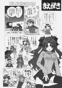 (C70) [WILD KINGDOM (Sensouji Kinoto)] FATE MAGIC (Fate/stay night)