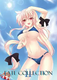 (C80) [chronicle (YUKITO)] FATE COLLECTION II (Mahou Shoujo Lyrical Nanoha)