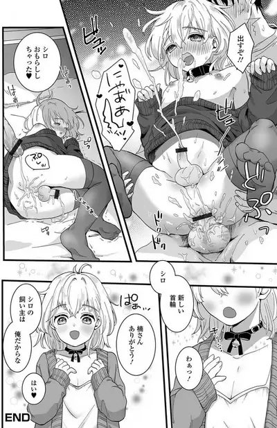 [Okuta Kei] Suteneko Shiro wa Ore no Pet (Nuregoto, Otokonoko) [Digital]
