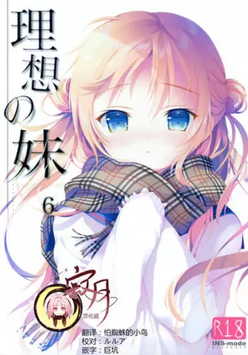 (C93)[INS-mode (Amanagi Seiji)] Risou no Imouto 6 [Chinese] [寂月汉化组]