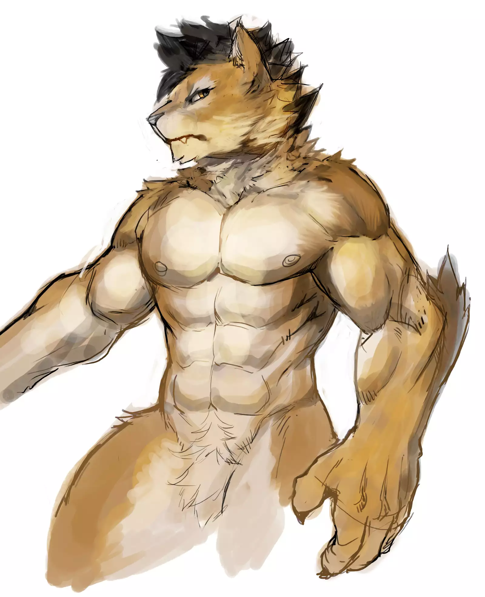 Nekojishi February 2018 Package Reward + Extras