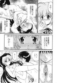 [Anthology] Pure Petit Vol. 4