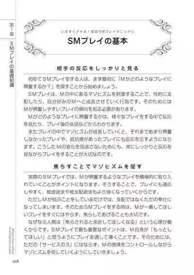 いますぐデキる 図説SMプレイマニュアル