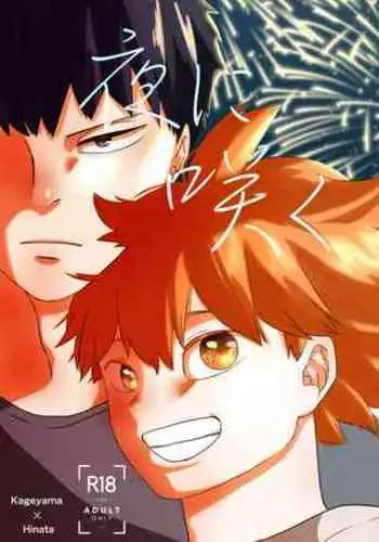 [Bousou Kajitsu (ANZU)] Yoru ni Saku (Haikyuu!!) [Digital]