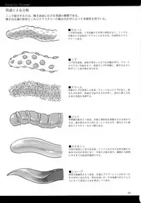 (C89) [SHIS (Z-ton)] A Beautiful Greed Z-ton Jingai Soushuuhen