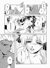 (Mimiket 10) [RED DATA BOOK (Amano Ryuuki)] Albireo (Fate stay night) [Chinese]