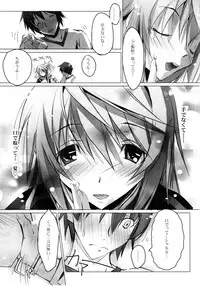 (COMIC1☆5) [RYU-SEKI-DO (Nagare Hyo-go)] LS Lovers Striker II (IS <Infinite Stratos>)