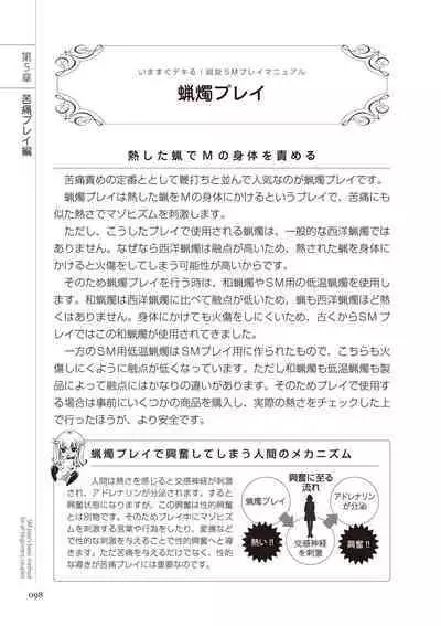 いますぐデキる 図説SMプレイマニュアル