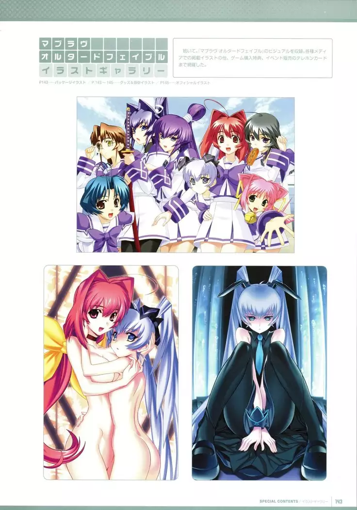 Muv-Luv Supplement & Altered Fable Memorial Art Book