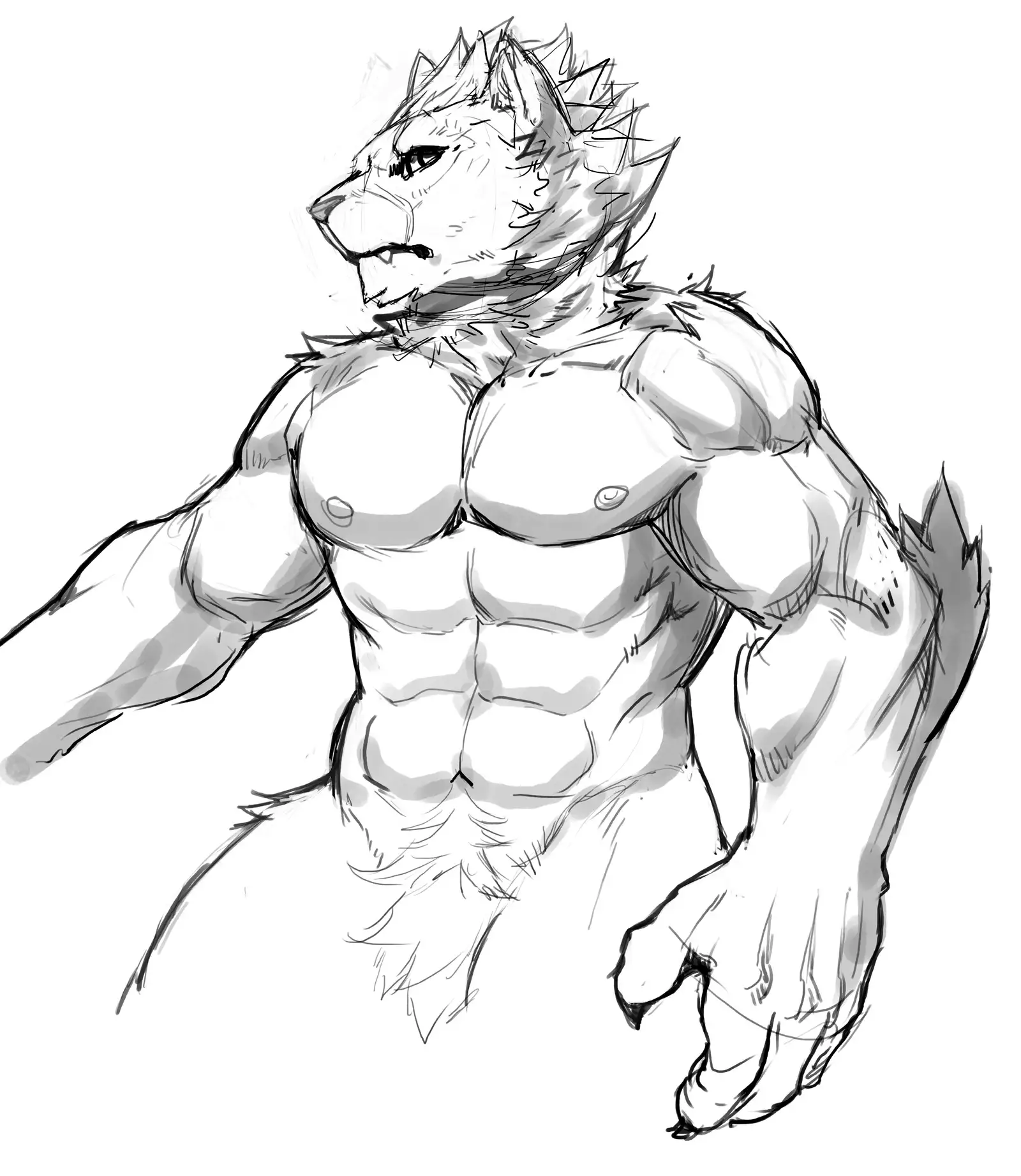 Nekojishi February 2018 Package Reward + Extras