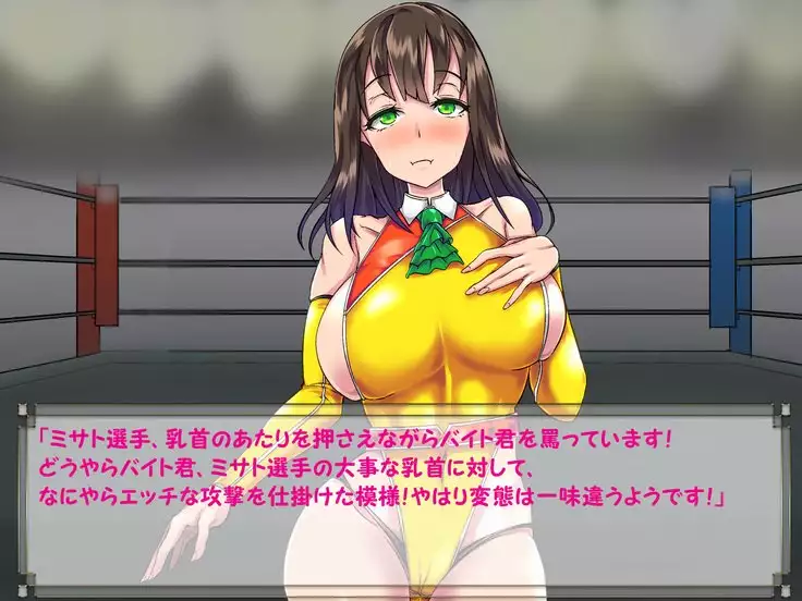 ドMプロレス2 画像集