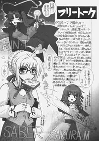 (C70) [WILD KINGDOM (Sensouji Kinoto)] FATE MAGIC (Fate/stay night)