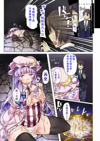 (Reitaisai 11) [Shirokurousa (Sugiyuu)] Honey x Honey (Touhou Project) [Chinese] [靴下汉化组]