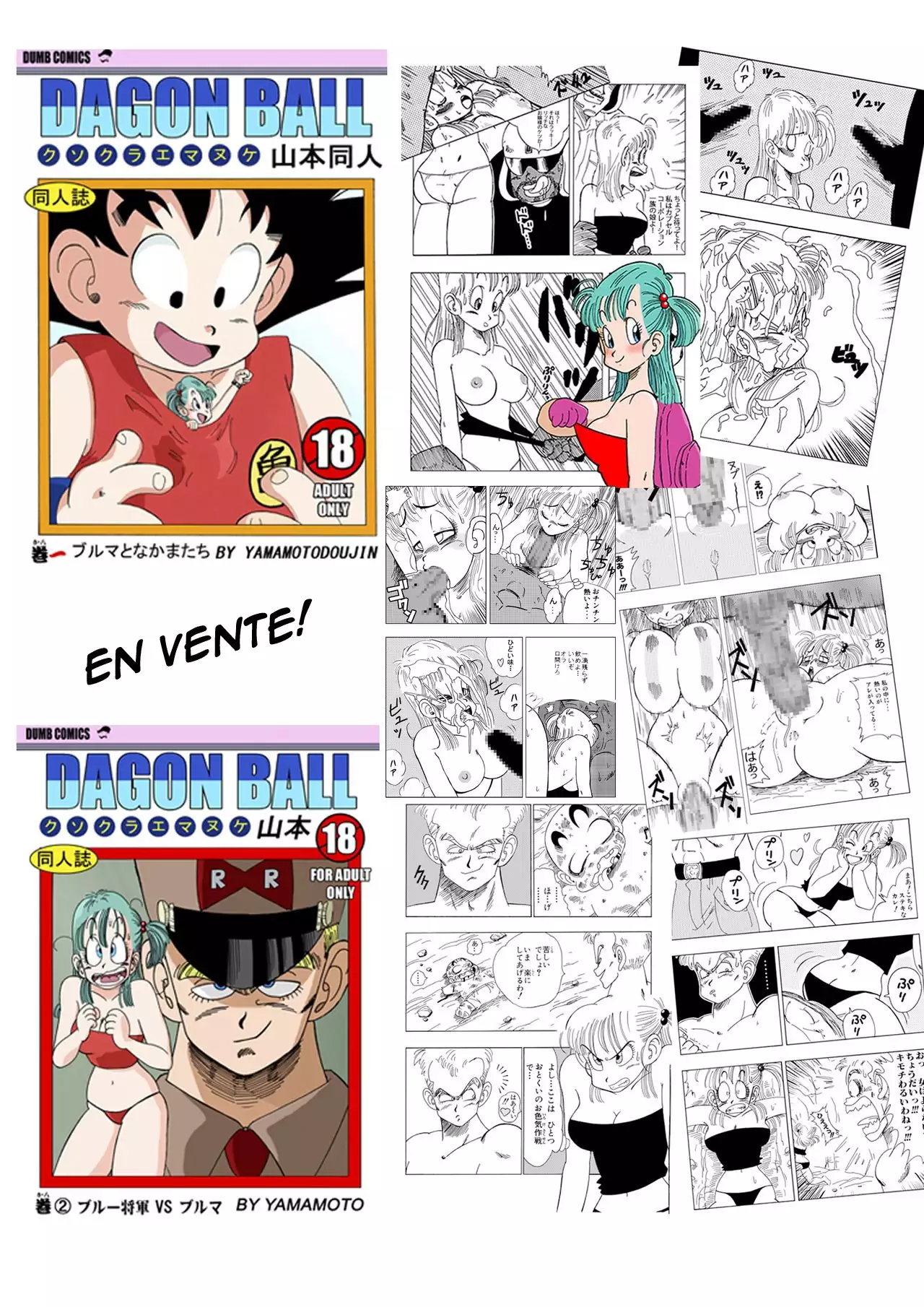 Black, Mirai no Hero o Taosu! Teisou na Kanojo ga Gisei ni! |