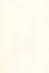 [Bunta Kikaku (Takaki Satoru)] Gonbuto (Card Captor Sakura)