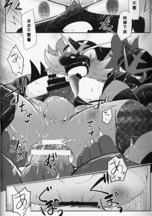 Tougi-ba no Make Neko | 斗技场的败猫