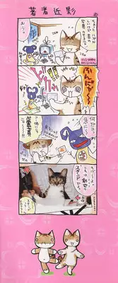 [SAIYA] PINK PAS TIME