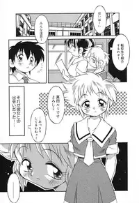 [Anthology] Pure Petit Vol. 4