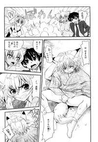 [URAN] Chichi Pedia