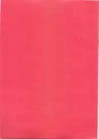 (Shota Scratch 16) [Ash Wing (Makuro)] Usa Nyan [English] =SW=