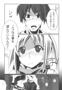 (C75) [S2H (Miyamoto Takashi)]Yadoya ni In Shita Sono Atode... (Fantasy Earth ZERO)