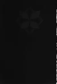 (C82) [Shimanto Seiryuu (Shimanto Youta)] Mushi Mujou (Mushibugyo) [English] [farfallavendetta]